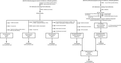 Mother-to-Child Transmission of HIV Within 24 Months After Delivery in Women Initiating Lifelong Antiretroviral Therapy Pre/Post-Conception or Postnatally; Effects of Adolescent Girl and Young Woman Status and Plasma Viremia Late in Pregnancy